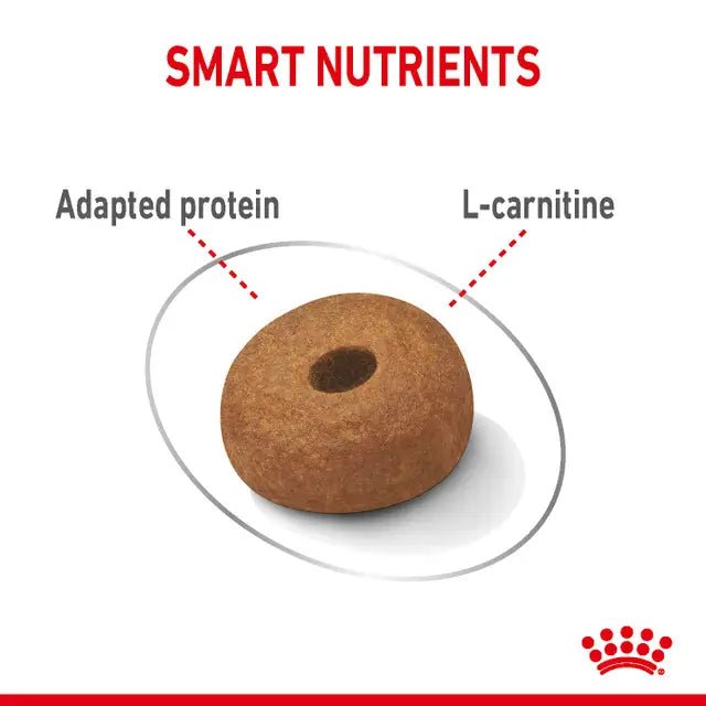 Royal Canin Dog Maxi Light Weight Care - 12kg - Pet Supply